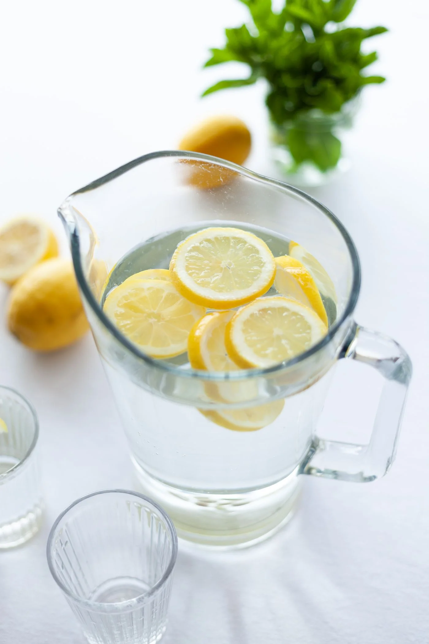 A clear glass pitcher of water with lemon slices and mint.