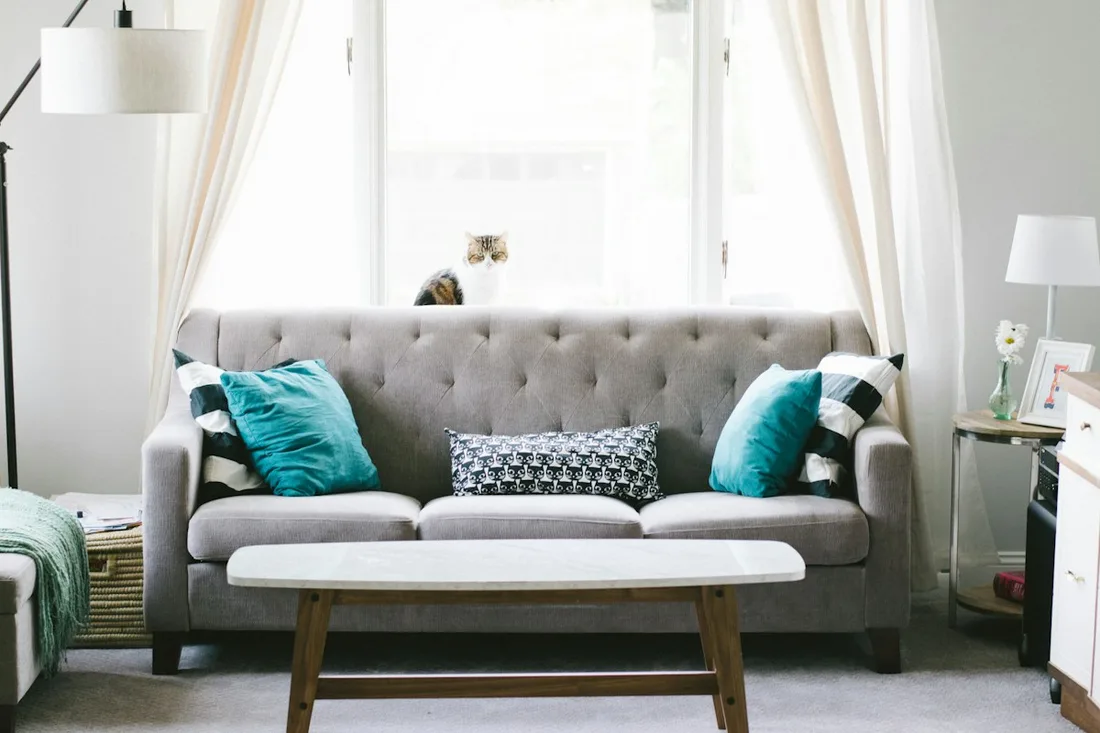 A gray sofa with turquoise and patterned cushions.