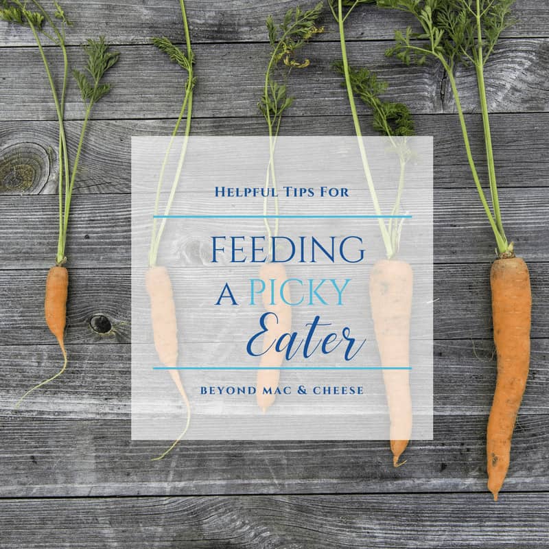 Helpful Tips for Feeding A Picky Eater - Sweet Humble Home
