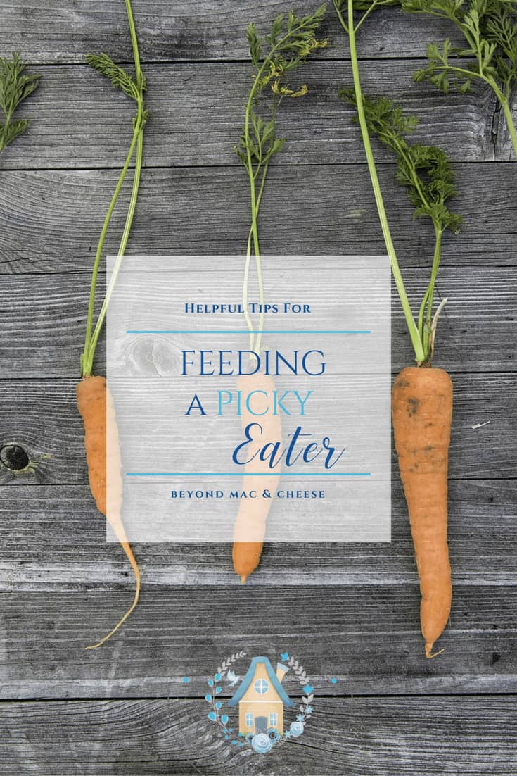 Feeding A Picky Eater - Sweet Humble Home