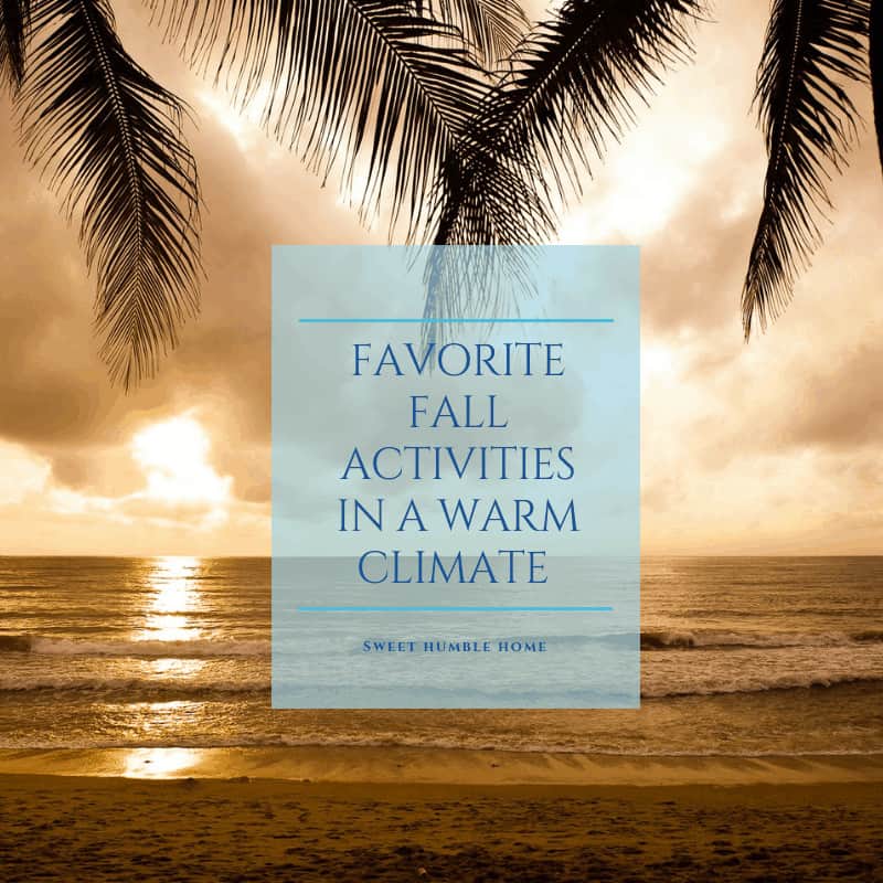 Favorite Fall Activities in a warm climate - sweet humble home