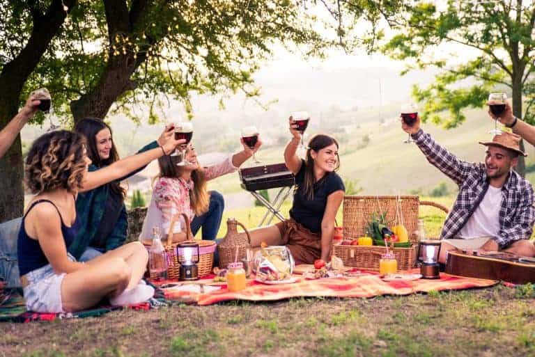 Friends enjoying a picnic outside in the shaded woods with toast with wine.
