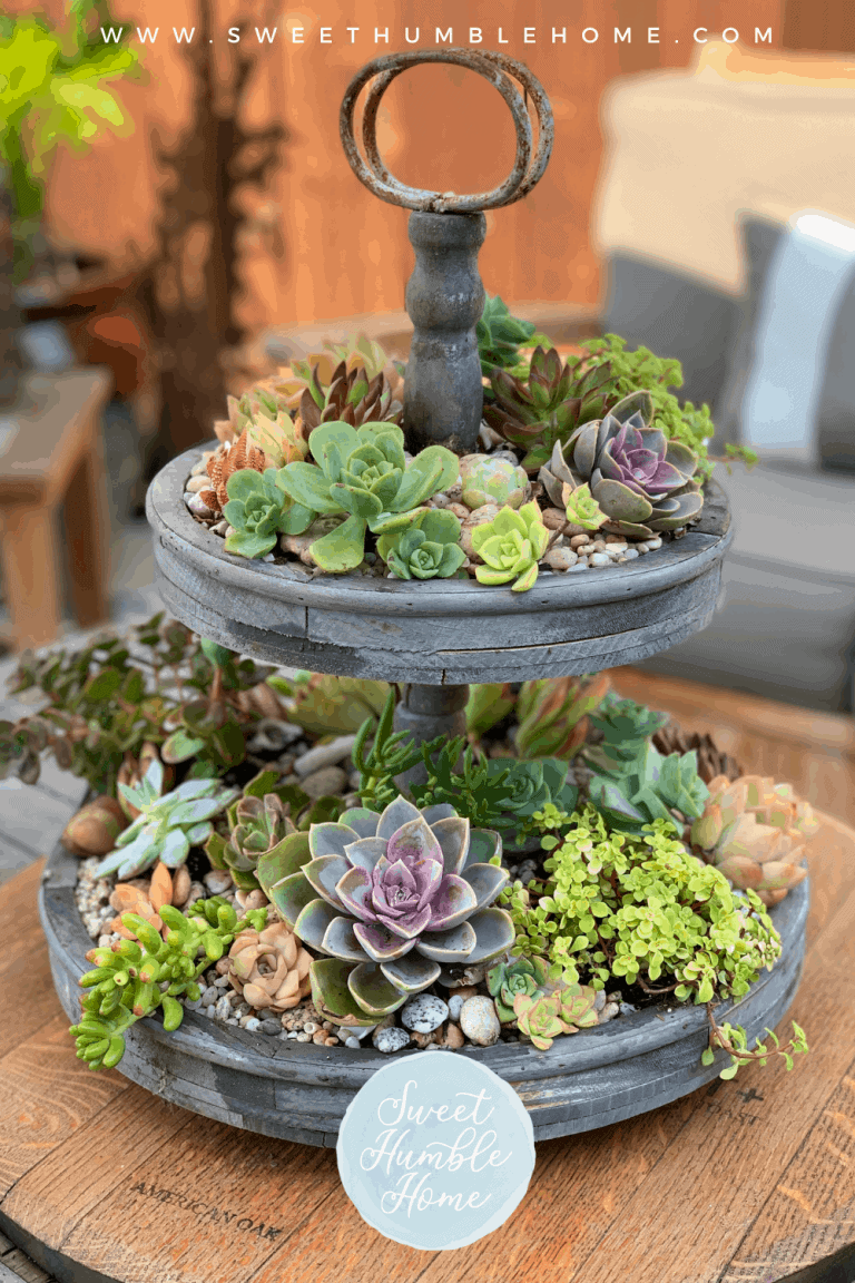 Live Plant Centerpiece Ideas
