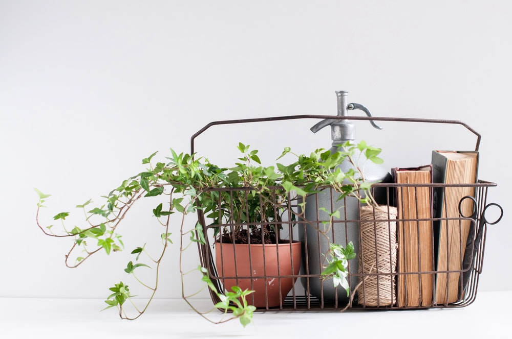 Image of books in a basket as part of Tsundoku or Bookish decor with a plant, twine, and an ivy plant in a terracotta pot